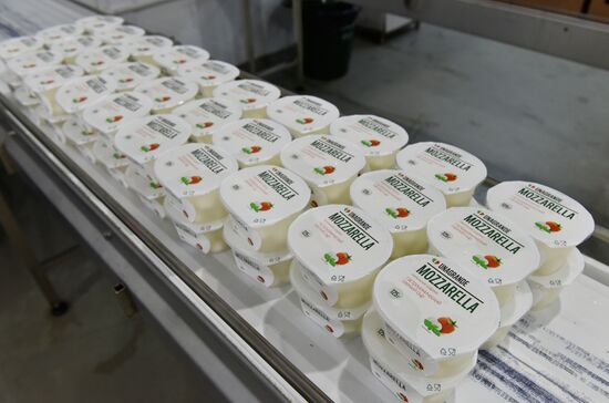 Производство сыров на предприятии "Умалат" в Брянской области