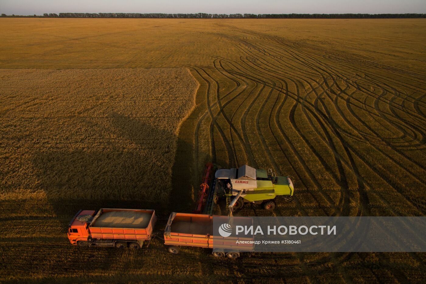 Уборка зерновых в Новосибирской области