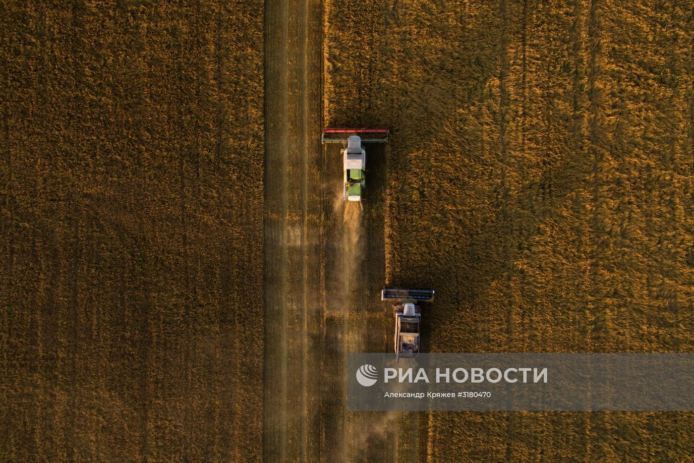 Уборка зерновых в Новосибирской области