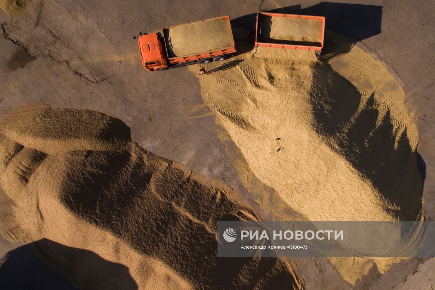 Уборка зерновых в Новосибирской области