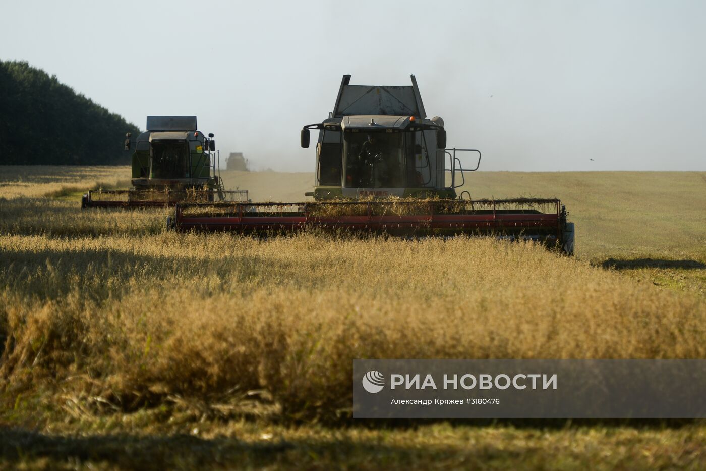 Уборка зерновых в Новосибирской области