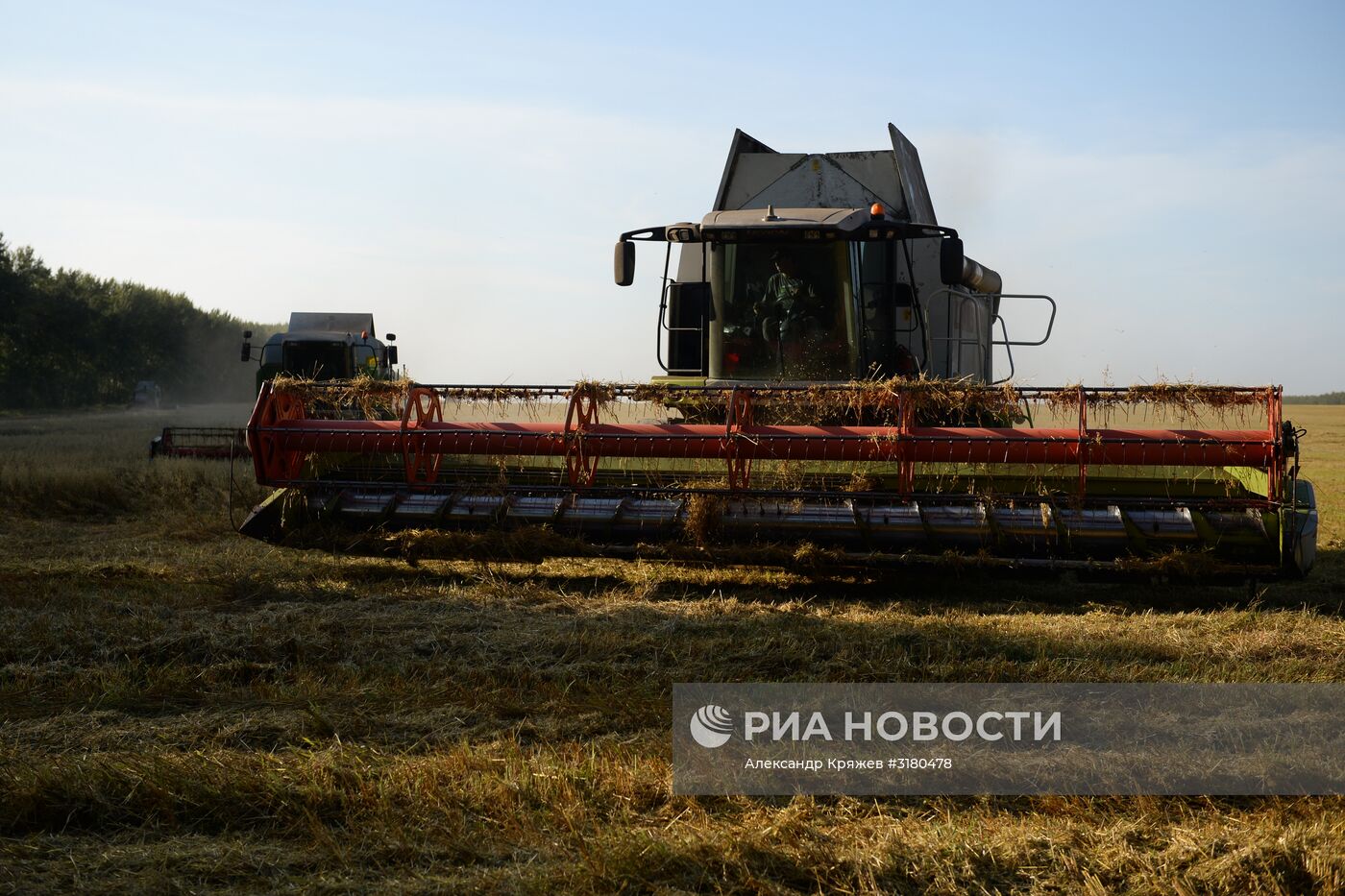 Уборка зерновых в Новосибирской области