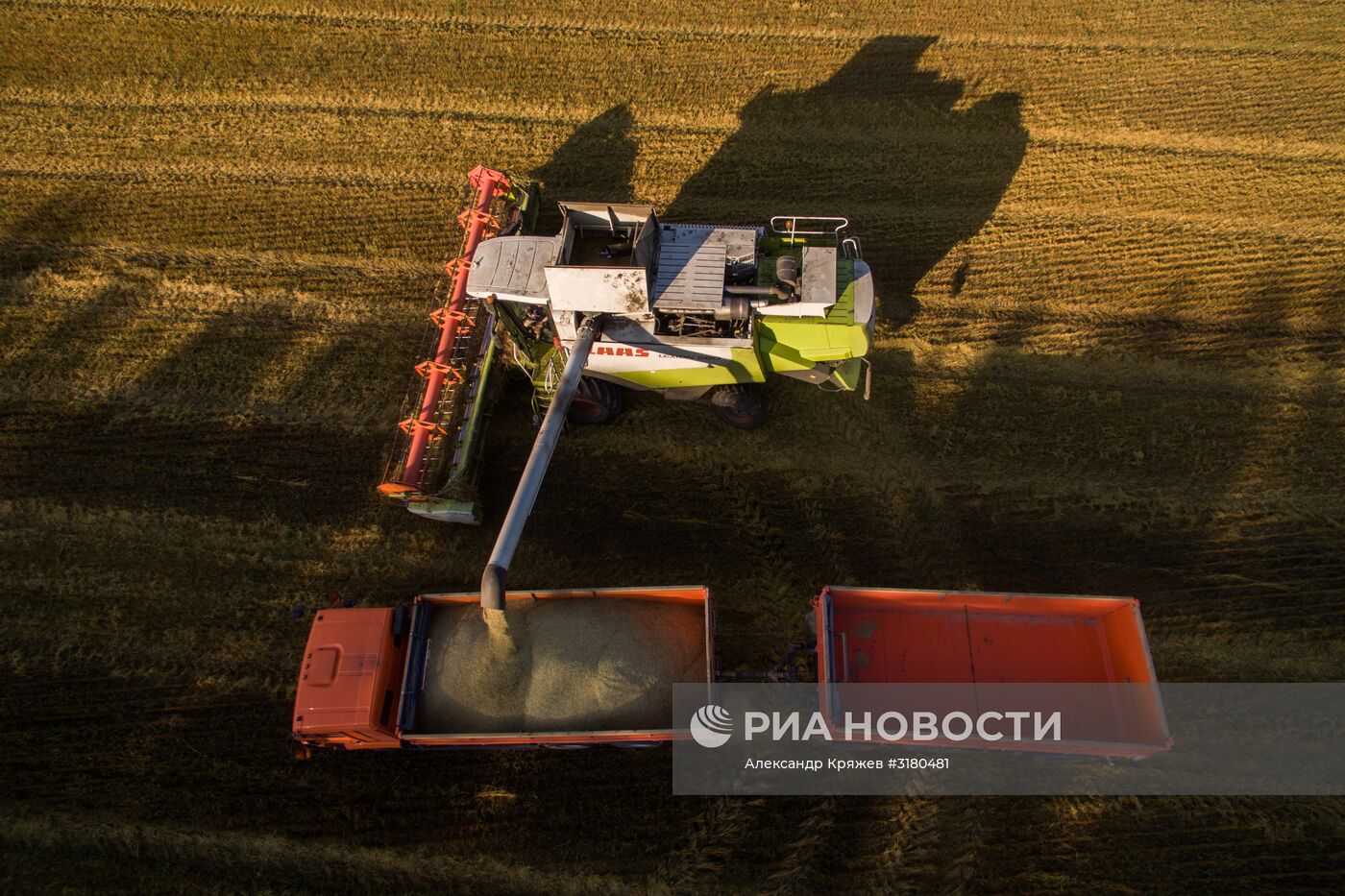 Уборка зерновых в Новосибирской области