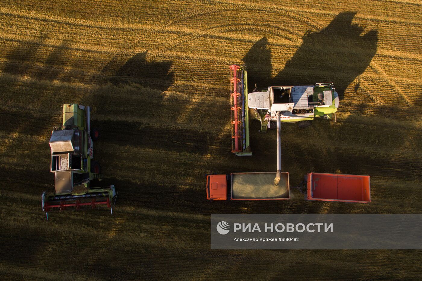 Уборка зерновых в Новосибирской области