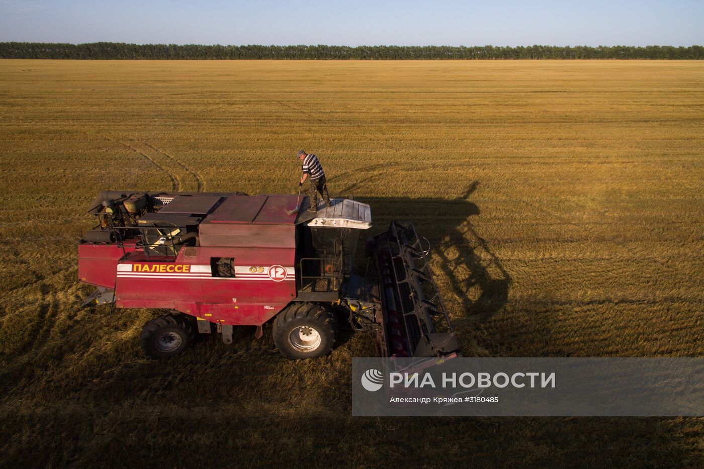 Уборка зерновых в Новосибирской области