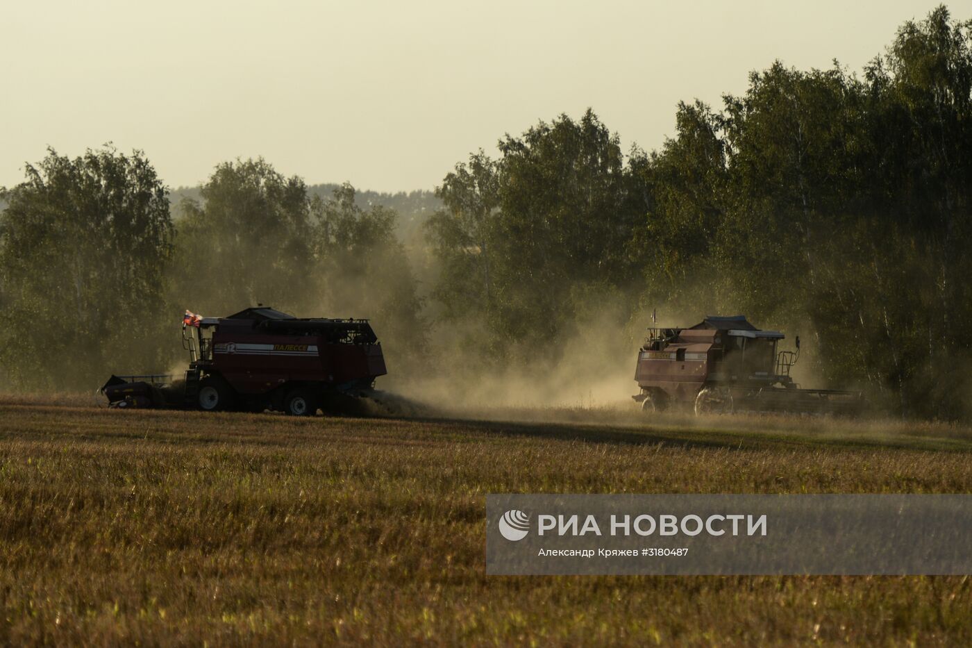 Уборка зерновых в Новосибирской области