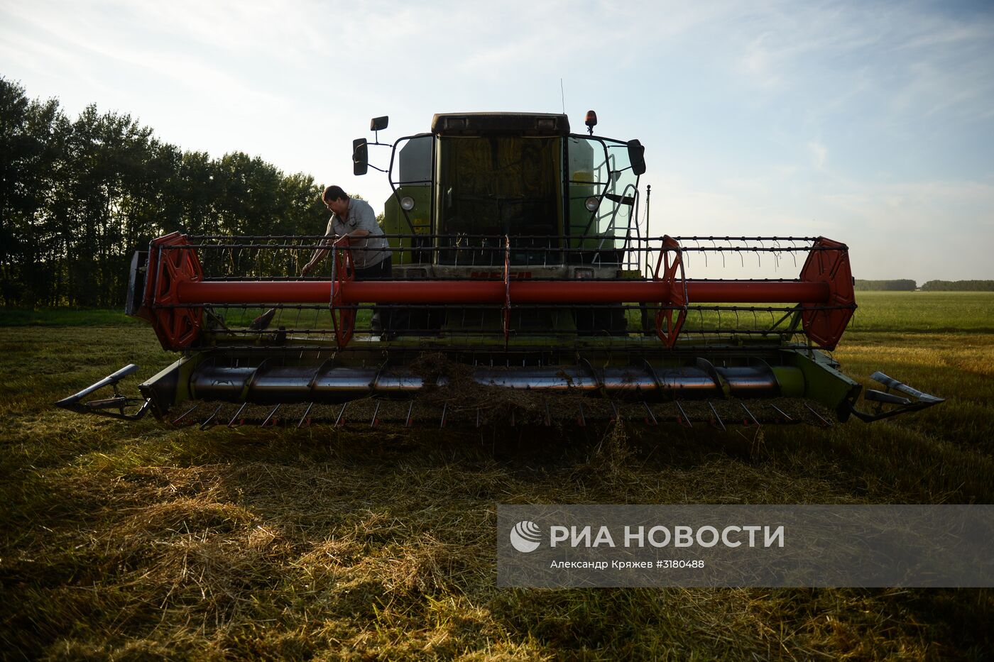Уборка зерновых в Новосибирской области