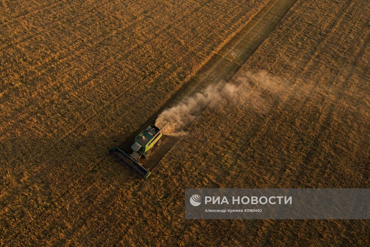 Уборка зерновых в Новосибирской области