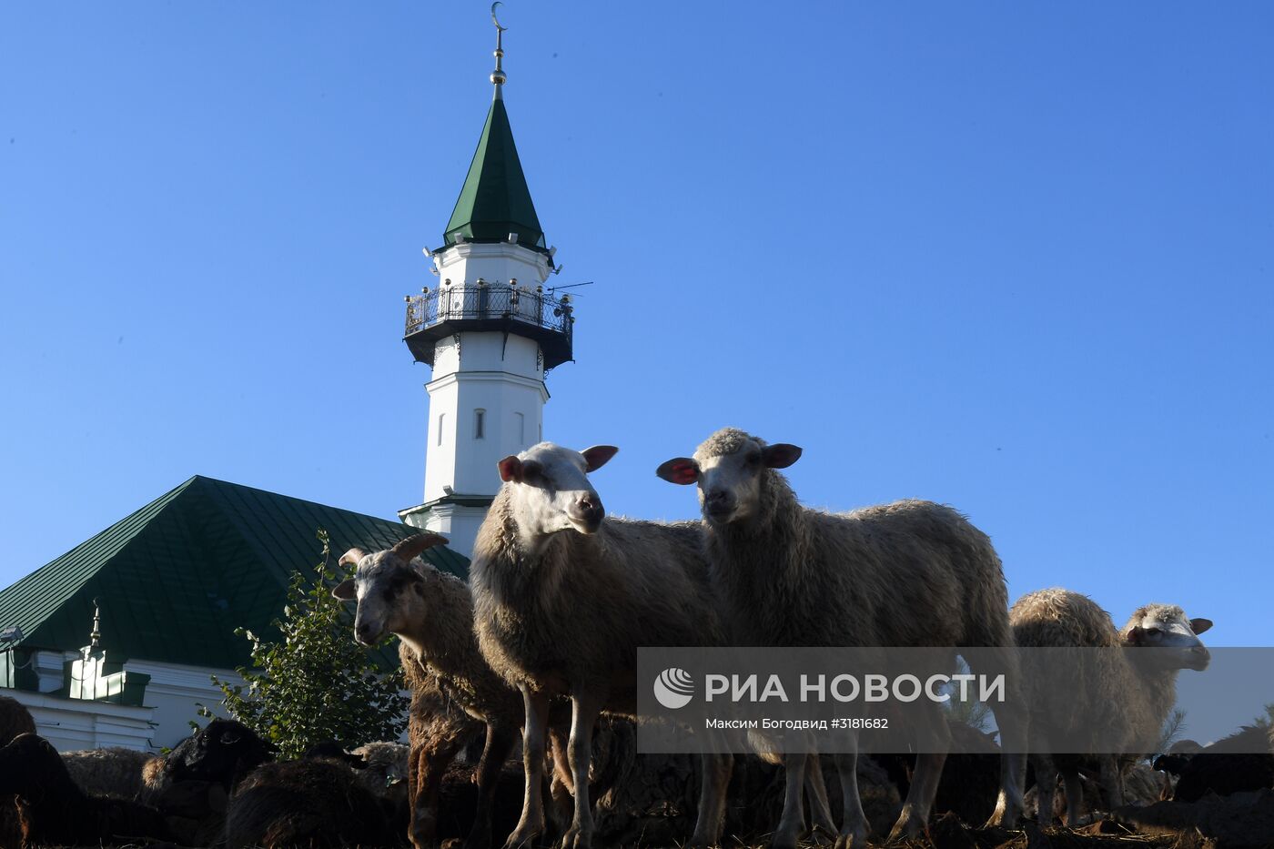 Празднование Курбан-байрама в регионах России