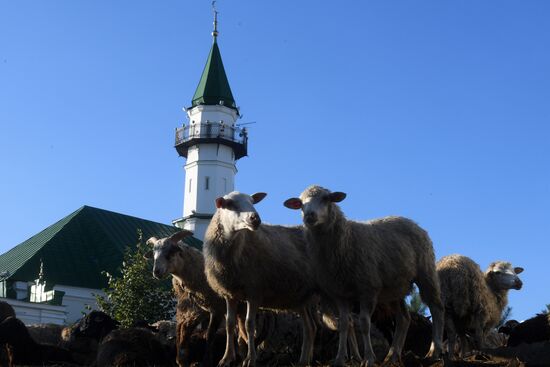 Празднование Курбан-байрама в регионах России