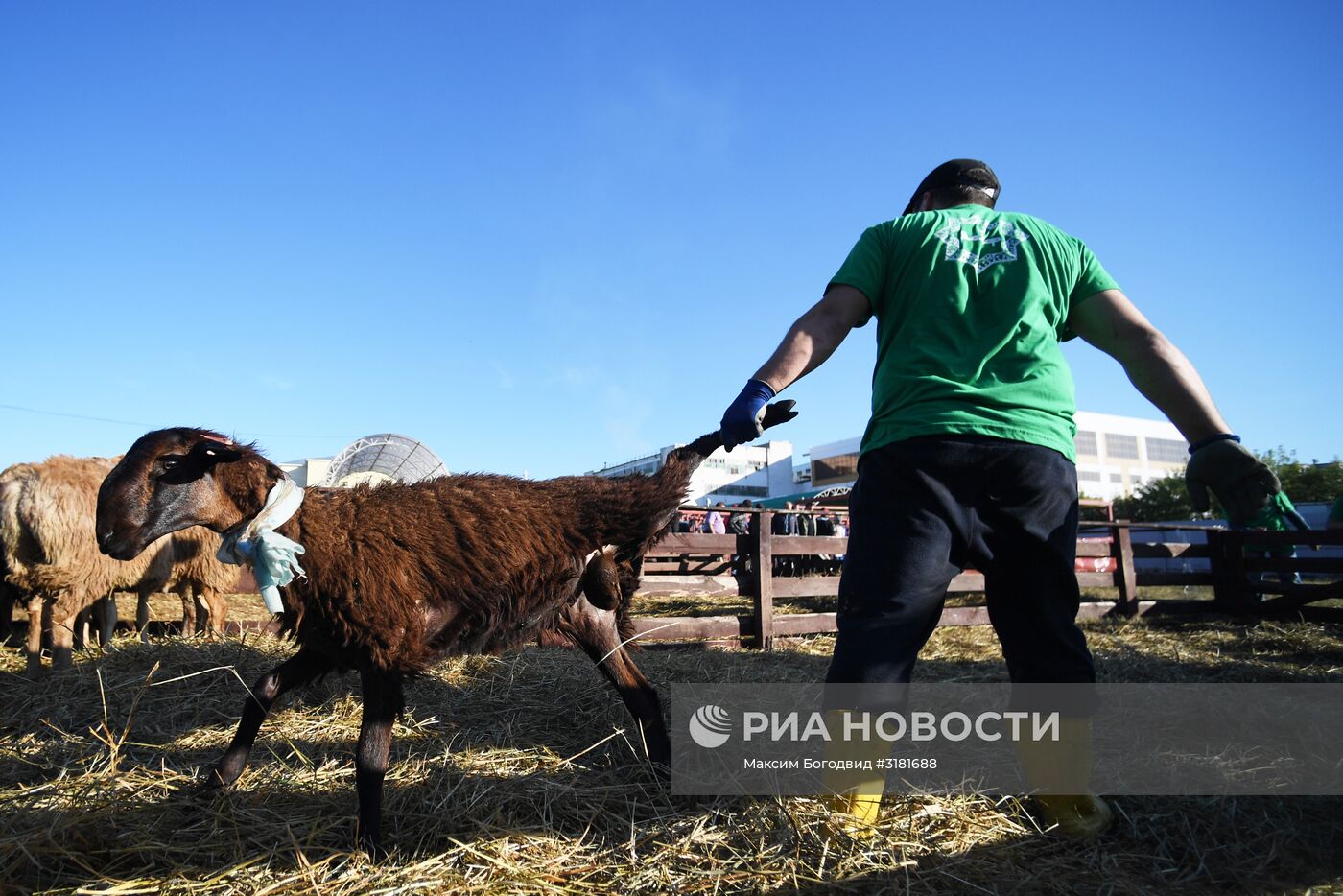 Празднование Курбан-байрама в регионах России