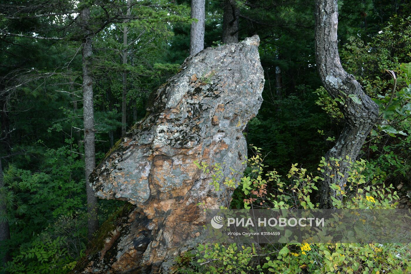 Большехехцирский заповедник в Хабаровском крае