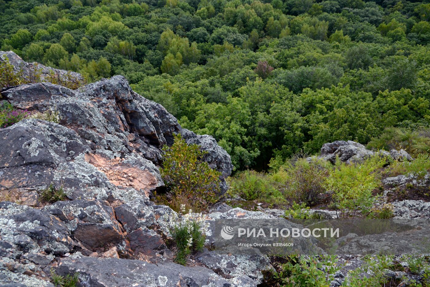 Большехехцирский заповедник в Хабаровском крае