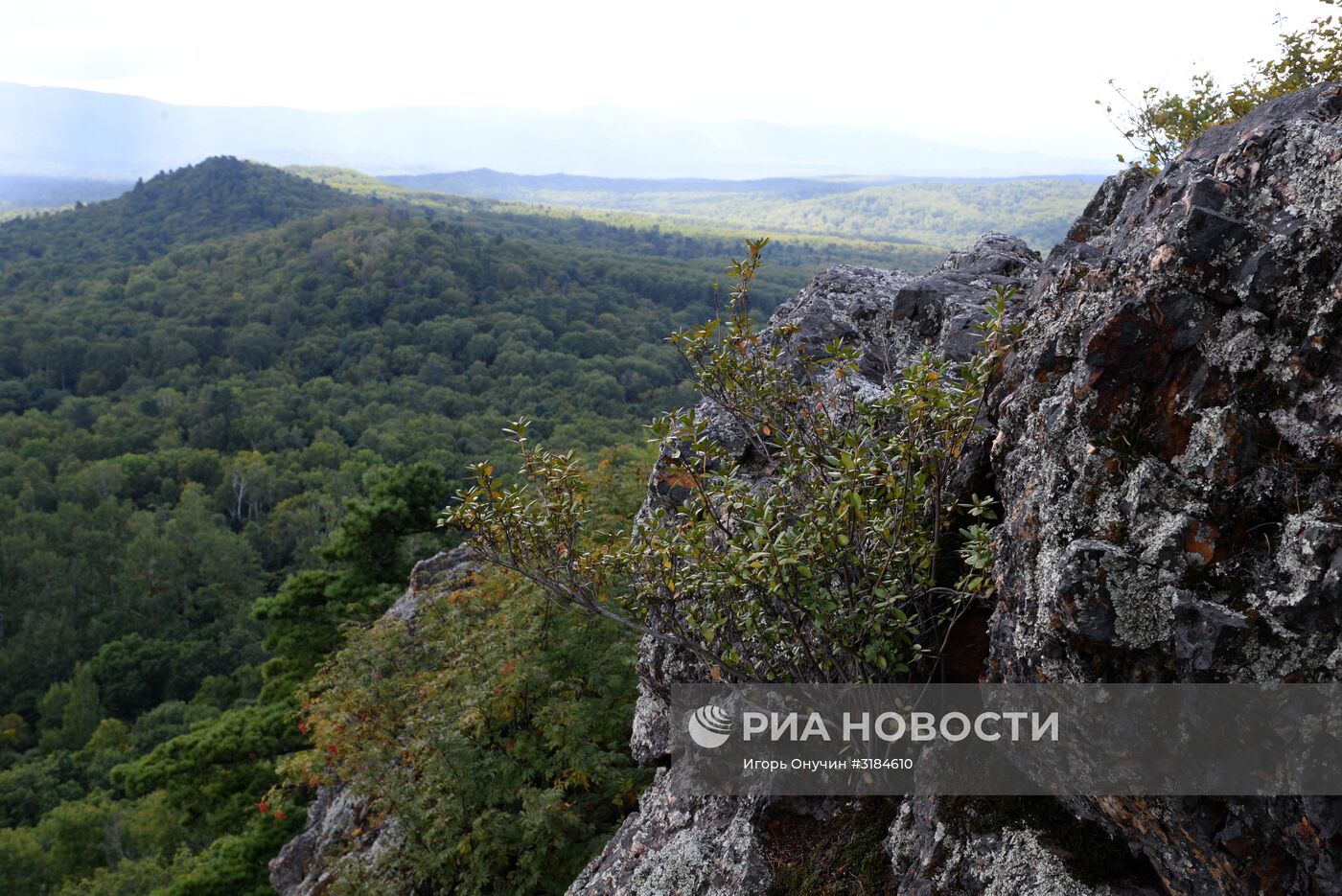 Большехехцирский заповедник в Хабаровском крае