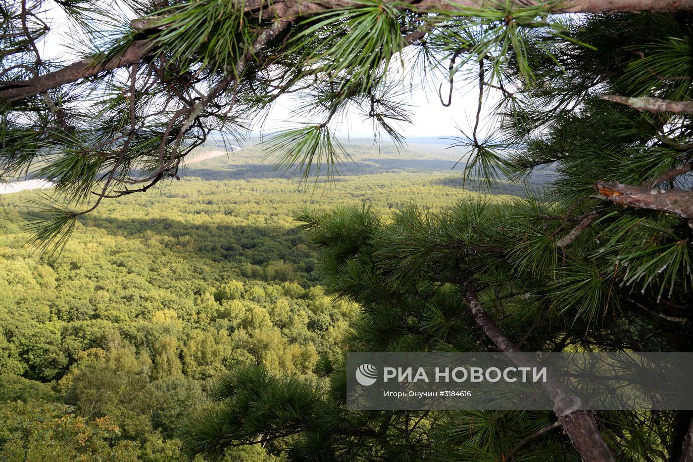 Большехехцирский заповедник в Хабаровском крае