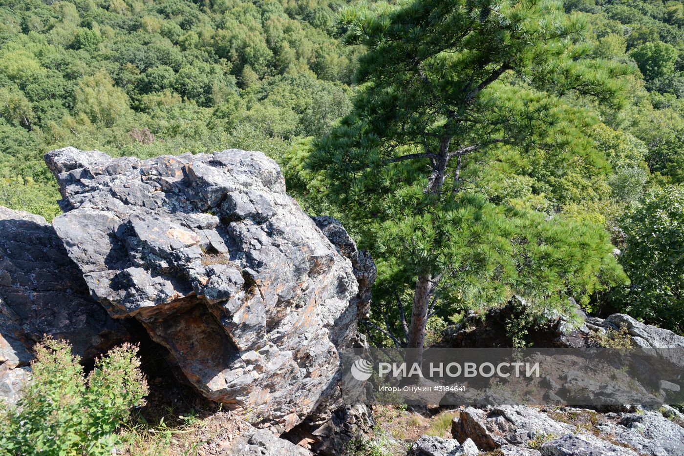 Большехехцирский заповедник в Хабаровском крае