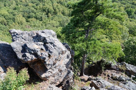 Большехехцирский заповедник в Хабаровском крае