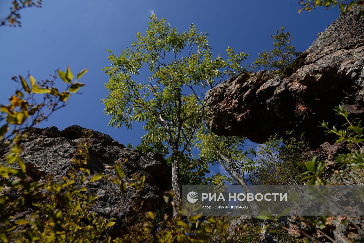 Большехехцирский заповедник в Хабаровском крае