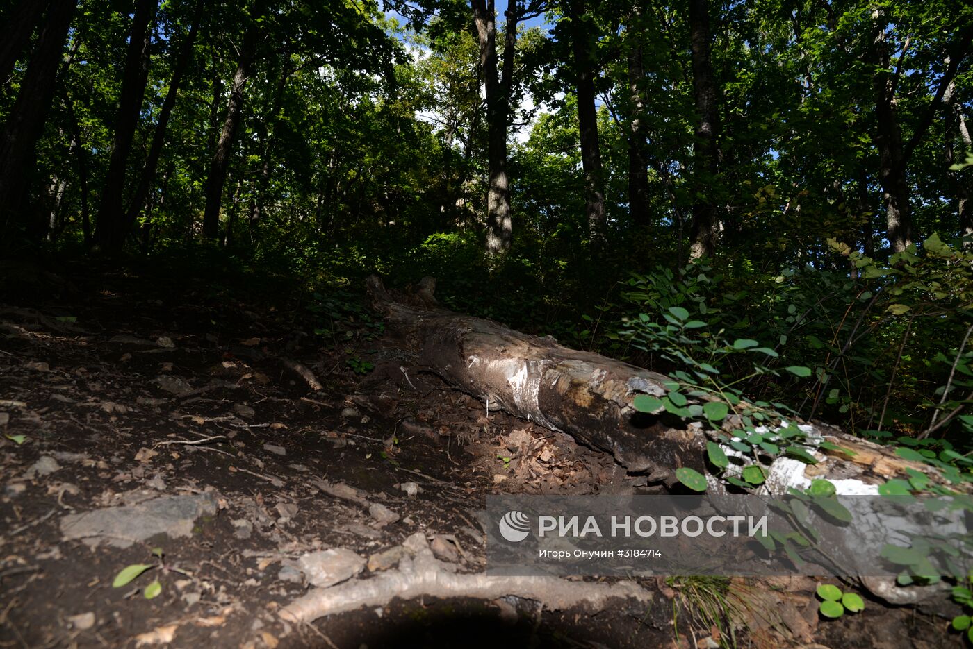 Большехехцирский заповедник в Хабаровском крае