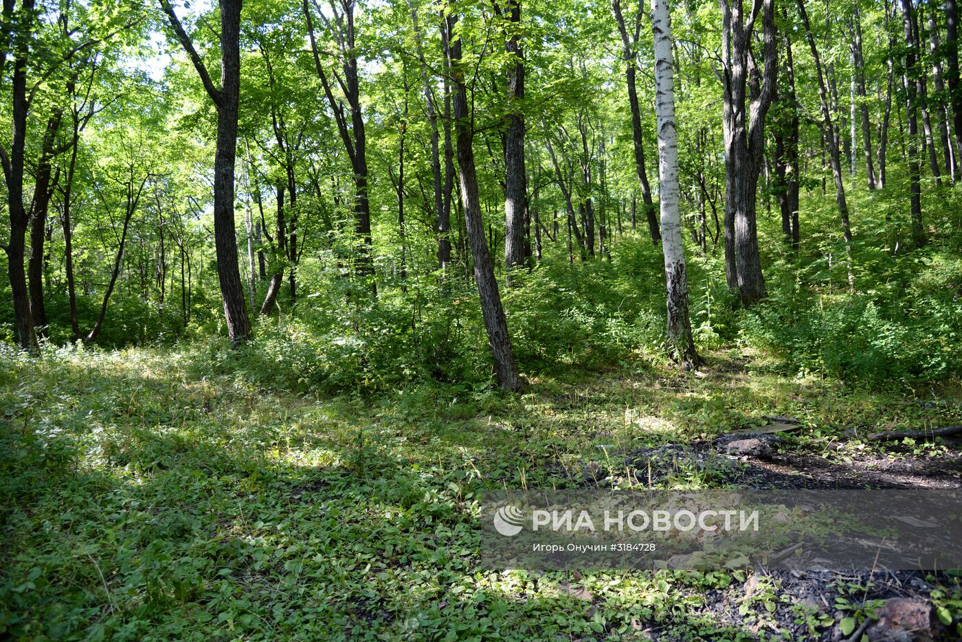 Большехехцирский заповедник в Хабаровском крае