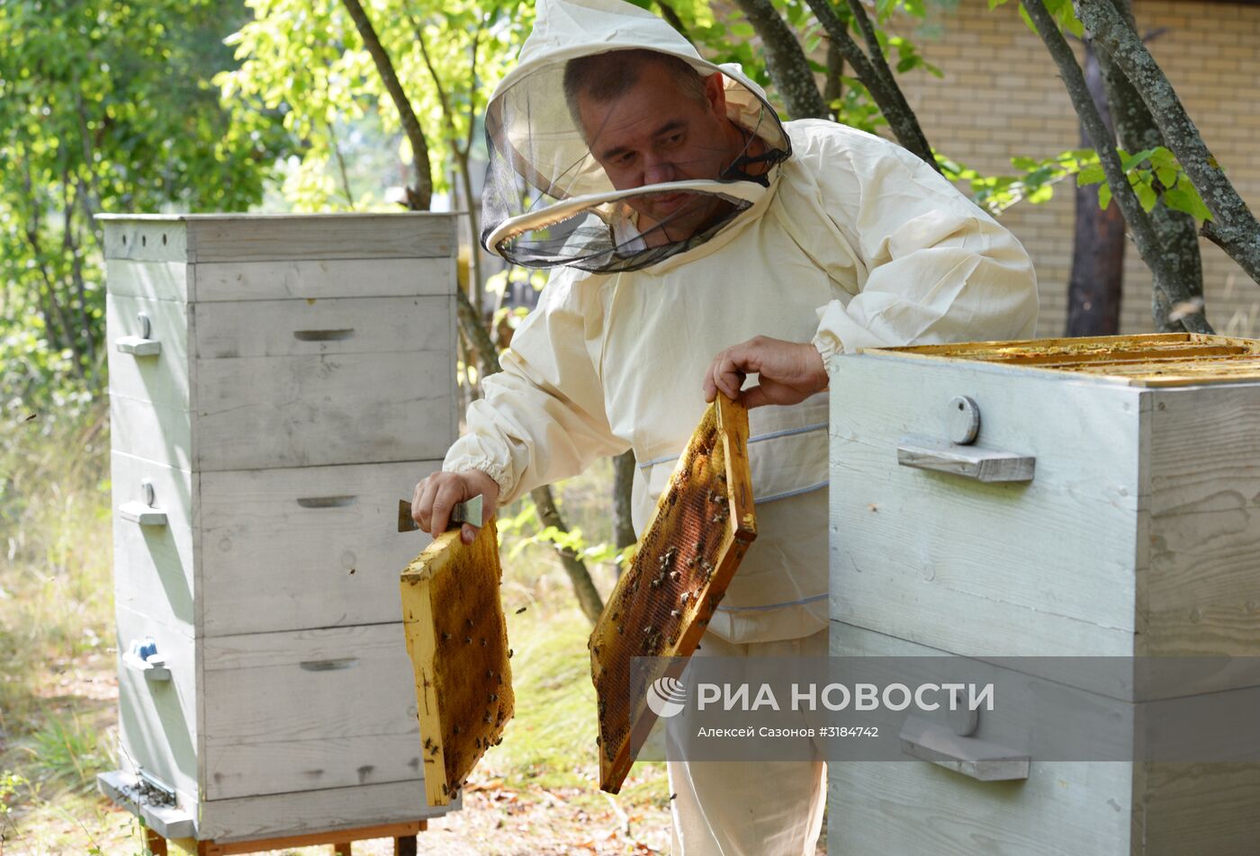 Пчеловод Евгений Котляров из Воронежской области