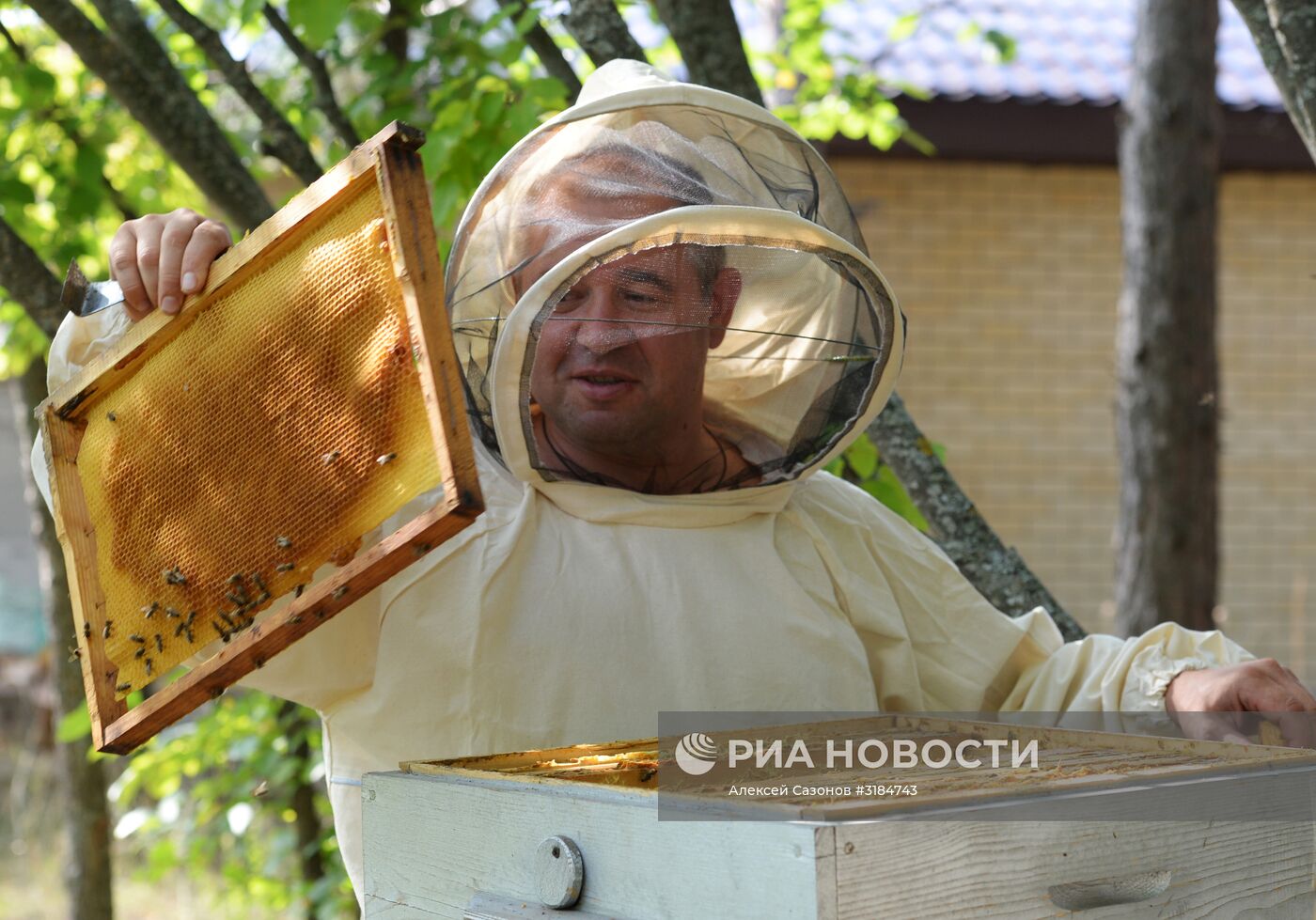 Пчеловод Евгений Котляров из Воронежской области