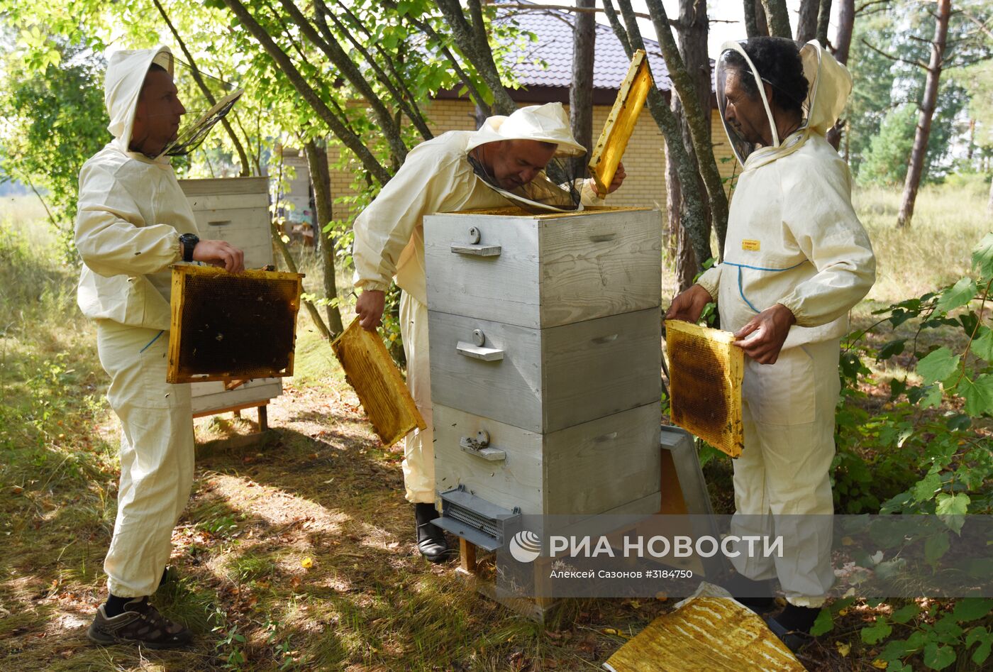 Пчеловод Евгений Котляров из Воронежской области