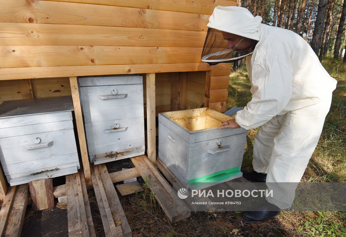 Пчеловод Евгений Котляров из Воронежской области