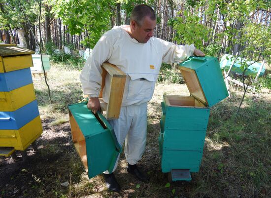 Пчеловод Евгений Котляров из Воронежской области