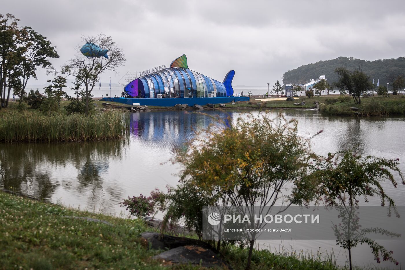 Открытие выставки "Улица Дальнего Востока" в рамках ВЭФ-2017