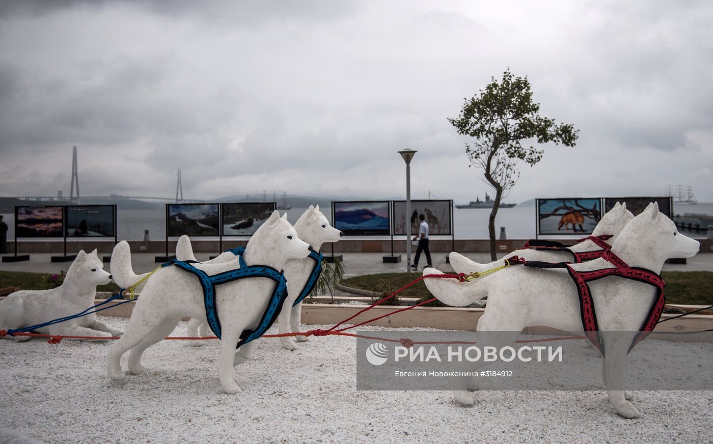 Открытие выставки "Улица Дальнего Востока" в рамках ВЭФ-2017