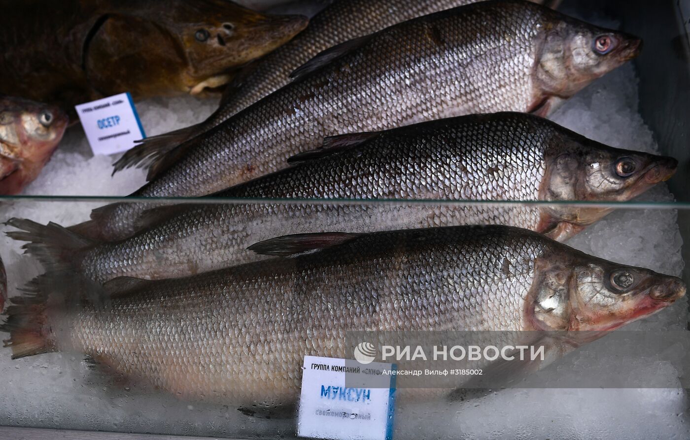 Открытие выставки "Улица Дальнего Востока" в рамках ВЭФ-2017