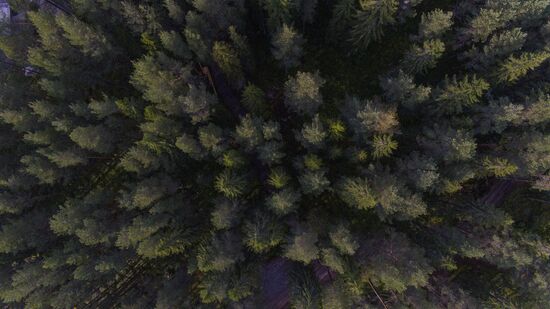 Онежское озеро в Карелии