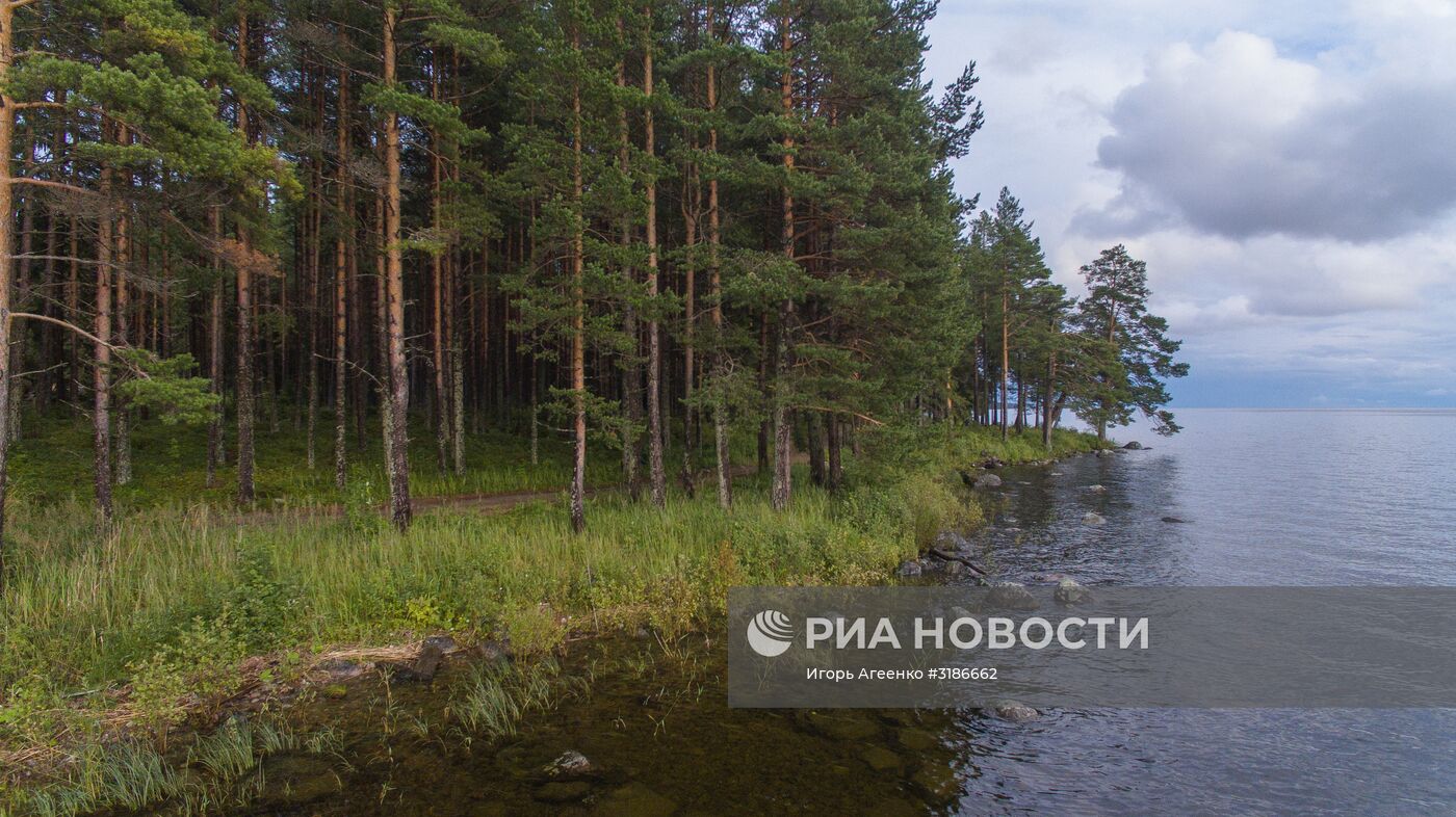 Онежское озеро в Карелии