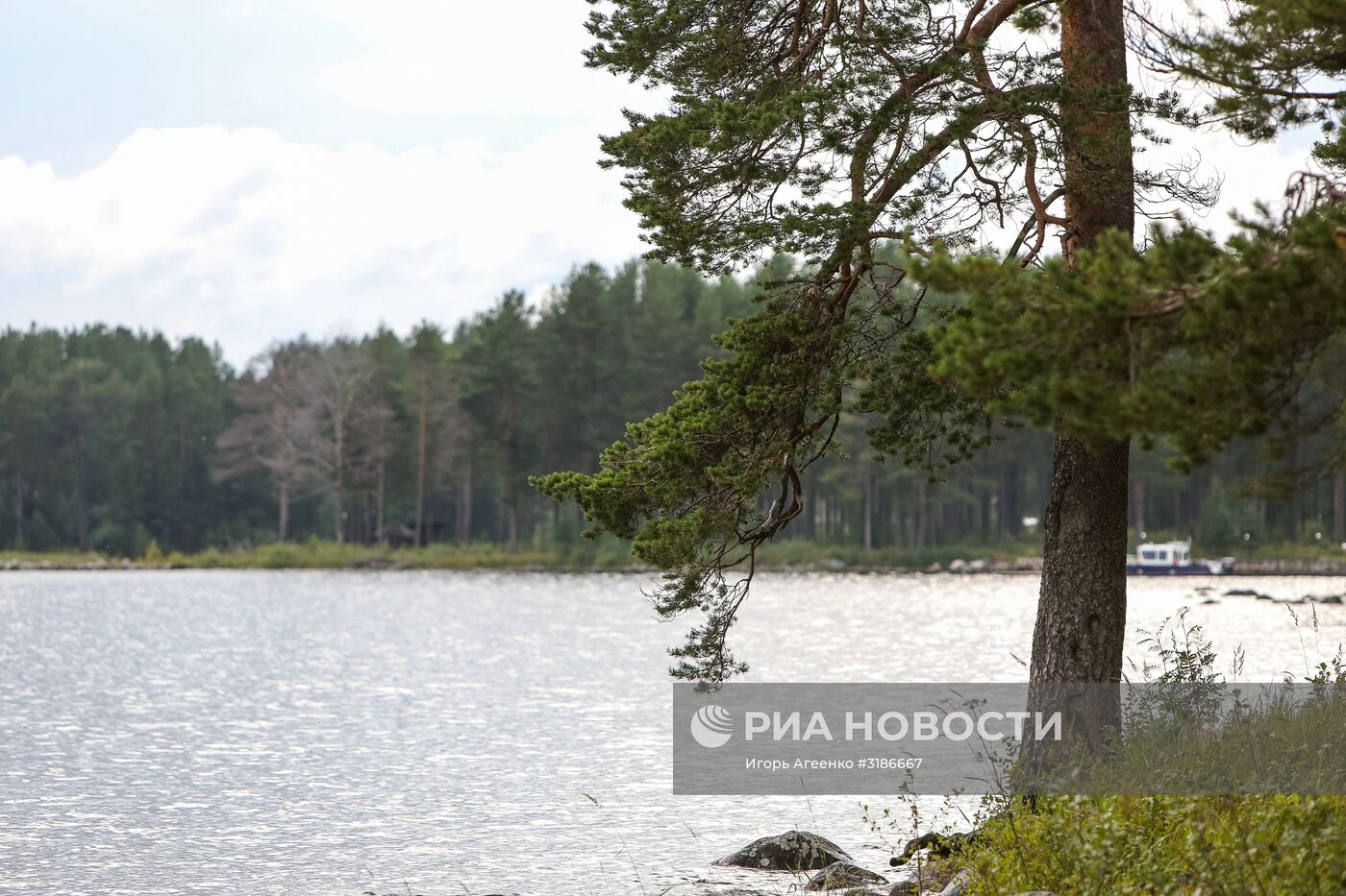 Онежское озеро в Карелии