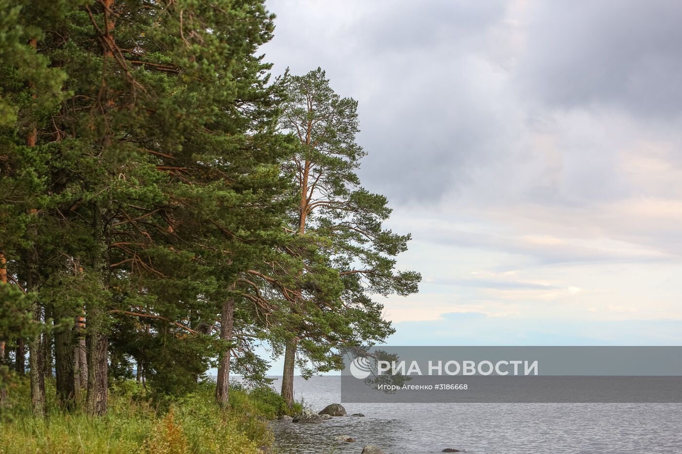 Онежское озеро в Карелии