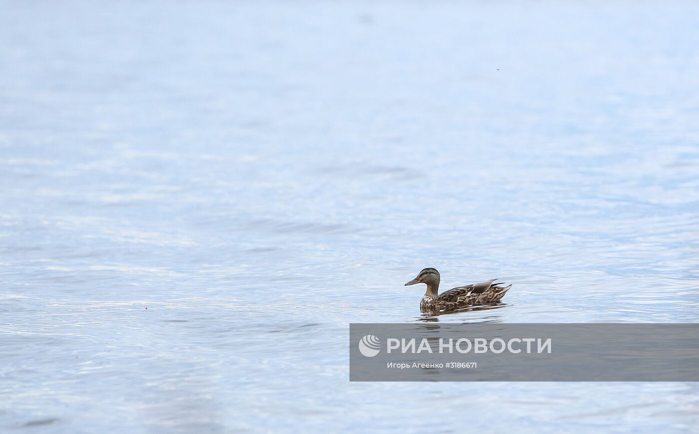 Онежское озеро в Карелии