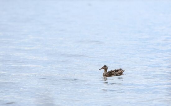 Онежское озеро в Карелии