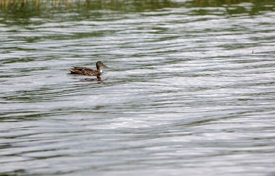 Онежское озеро в Карелии