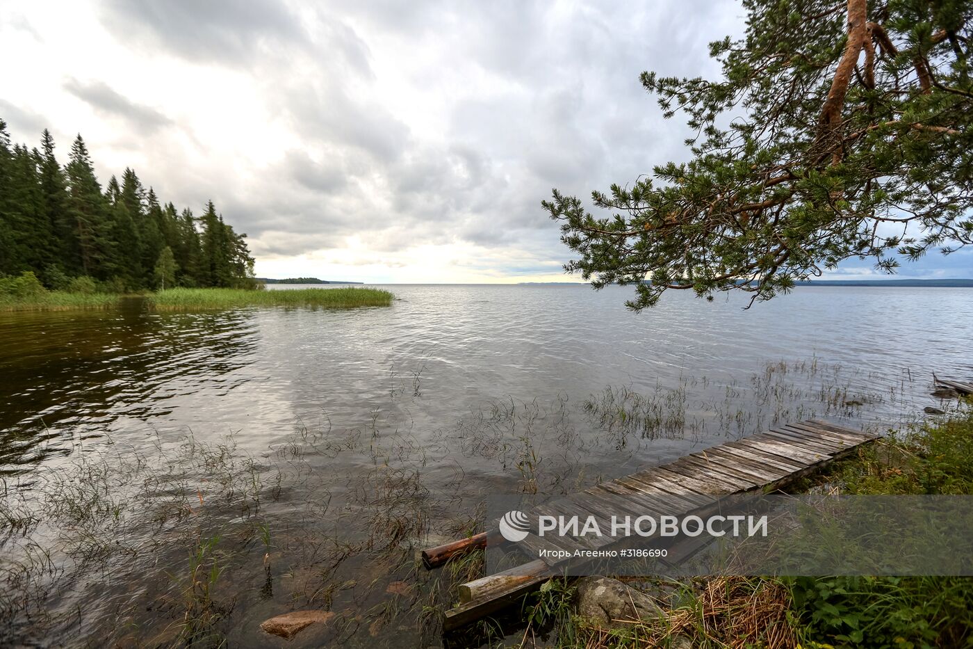 Онежское озеро в Карелии