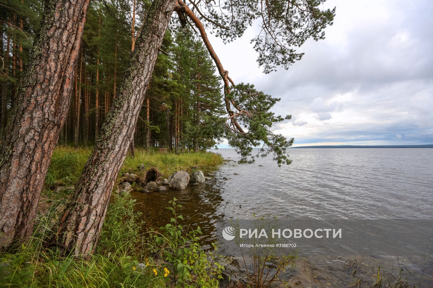 Онежское озеро в Карелии