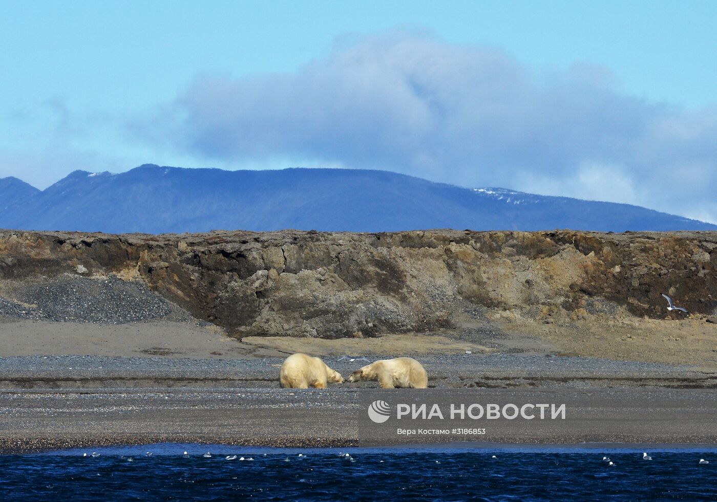 Природа Чукотки