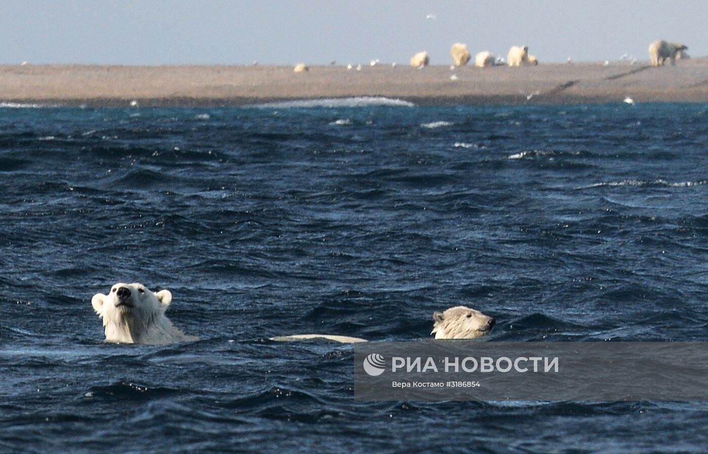 Природа Чукотки