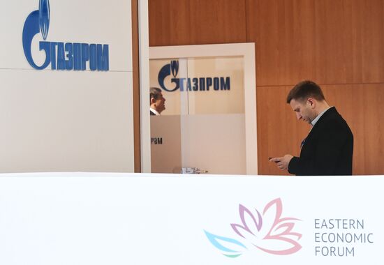 Восточный экономический форум. День второй