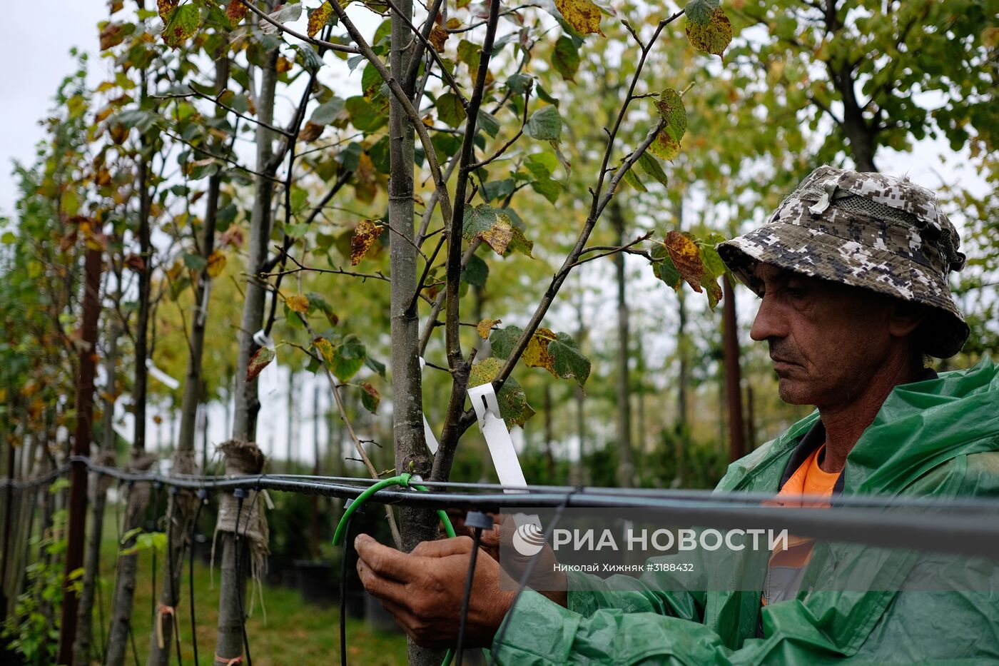 Питомник растений в Краснодарском крае