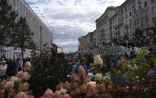 Празднование Дня города в Москве