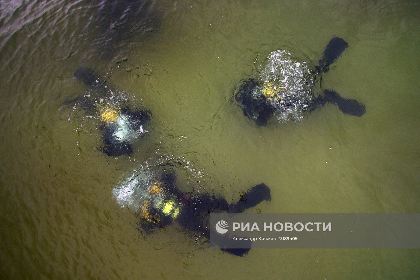 Акция по уборке берега и акватории озера Байкал от мусора