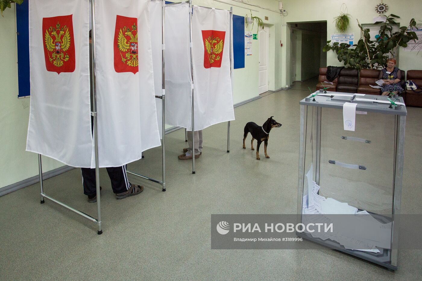 Единый день голосования в городах России