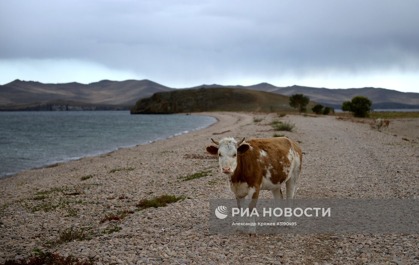 Акция по уборке берега и акватории озера Байкал от мусора