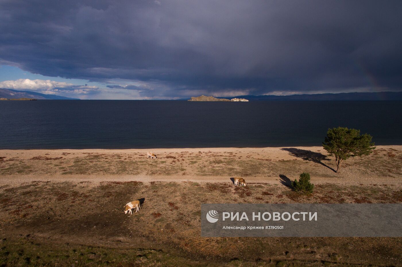 Акция по уборке берега и акватории озера Байкал от мусора